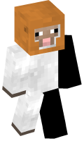 Skinfile