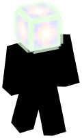 Skinfile