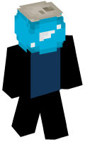 Skinfile