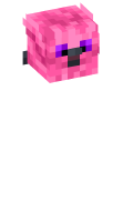 Skinfile