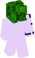 Skinfile