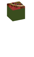 Skinfile