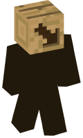 Skinfile