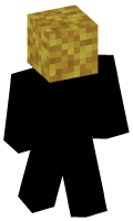 Skinfile