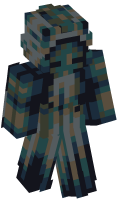 Skinfile