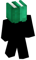 Skinfile