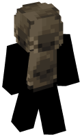 Skinfile