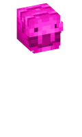Skinfile