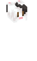 Skinfile