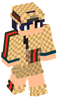 Skinfile