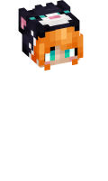 Skinfile