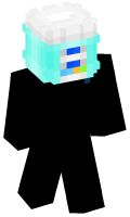 Skinfile