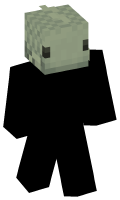 Skinfile