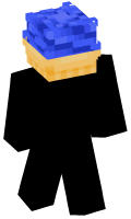 Skinfile