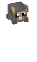 Skinfile