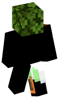 Skinfile