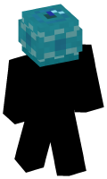 Skinfile
