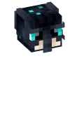Skinfile