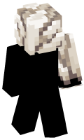 Skinfile