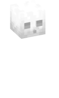 Skinfile