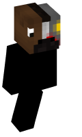 Skinfile