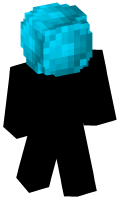 Skinfile