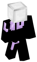Skinfile