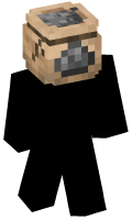 Skinfile