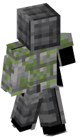 Skinfile