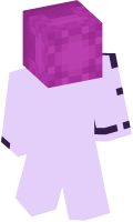 Skinfile