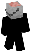 Skinfile
