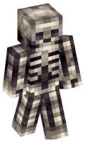 Skinfile