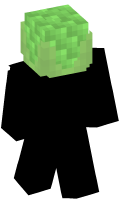Skinfile