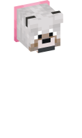 Skinfile