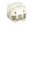 Skinfile