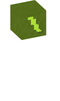 Skinfile