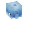 Skinfile