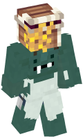 Skinfile