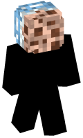 Skinfile