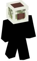 Skinfile