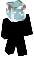 Skinfile