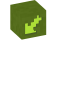 Skinfile