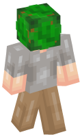 Skinfile