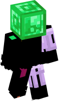 Skinfile