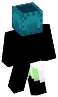 Skinfile