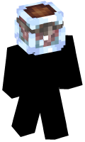 Skinfile