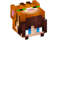 Skinfile
