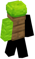 Skinfile