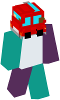 Skinfile