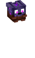 Skinfile